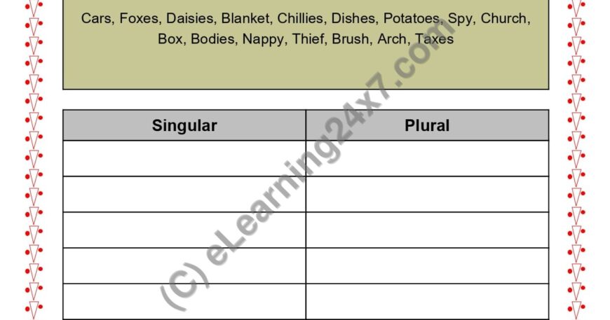 Grade 2, English, Singular Plural - Separate Singular And Plural, printable PDF, instant download
