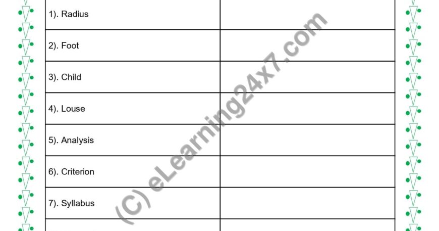 Grade 5, English, Singular Plural - Plural - Irregular, printable PDF, instant download