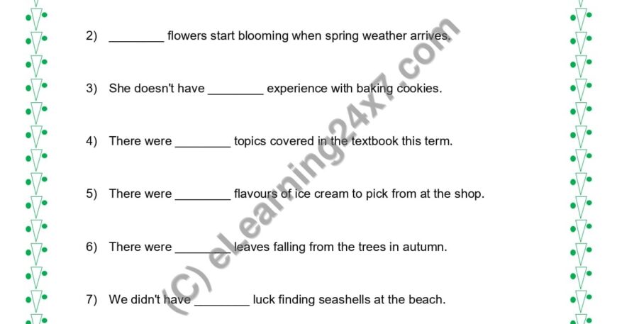 Grade 5, English, Noun - Much Or Many, printable PDF, instant download