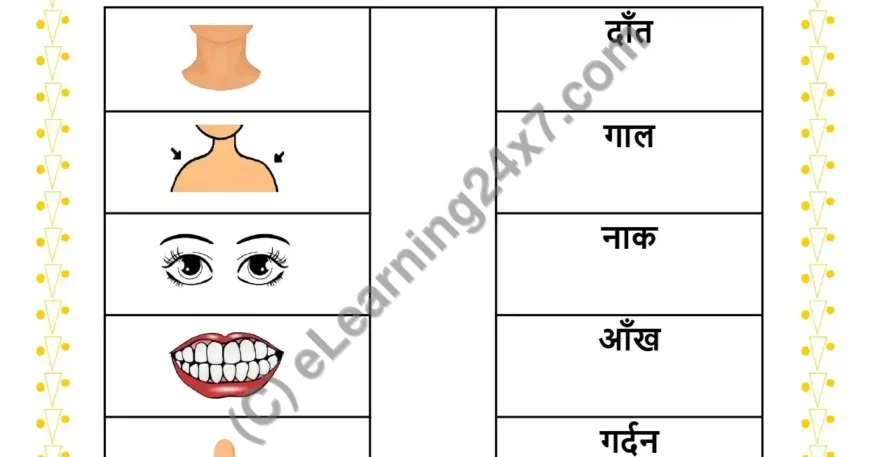Match Body Parts Worksheets