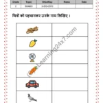 Grade 2, Hindi, Shabd - Write Object Name, printable PDF, instant download