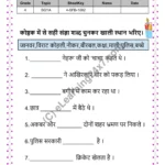 Grade 4, Hindi, Sangya - Fill The Blanks, printable PDF, instant download