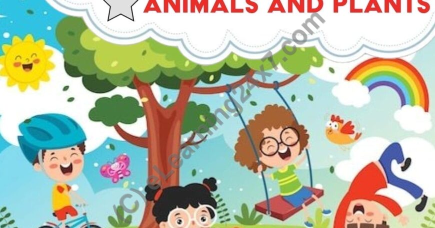 Grade 2 EVS Workbooks