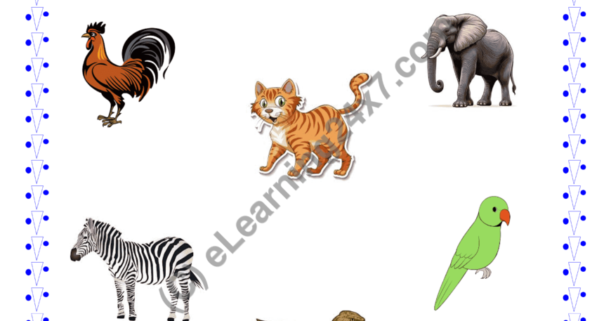 Circle Animal Pictures