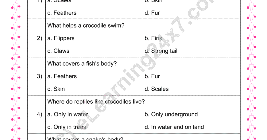Animals Classification MCQs