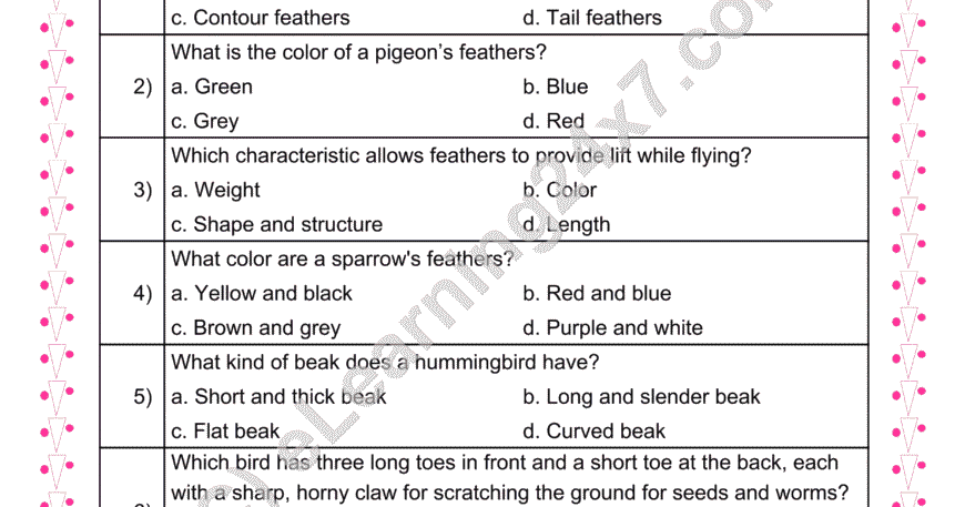 Birds Feathers And Beaks MCQs