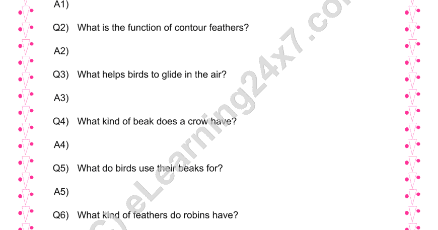 Birds Feathers And Beaks QA