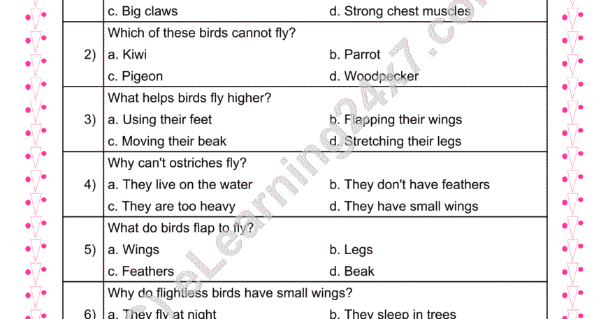 How Birds Fly MCQs