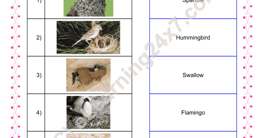 Match Birds Nests