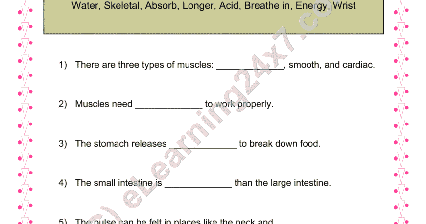 Body Organs : Fill The Blanks