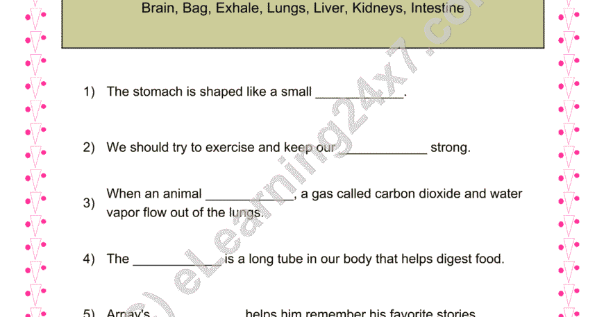 Internal Body Parts : Fill The Blanks