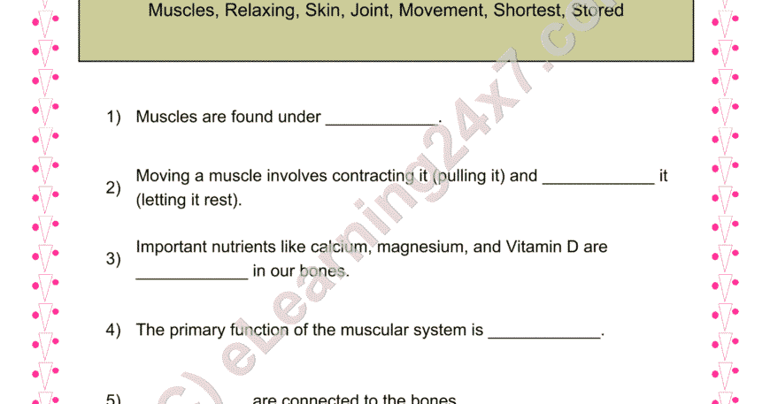 Muscles And Bones : Fill The Blanks