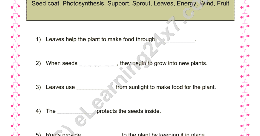 Parts of Plants : Fill The Blanks