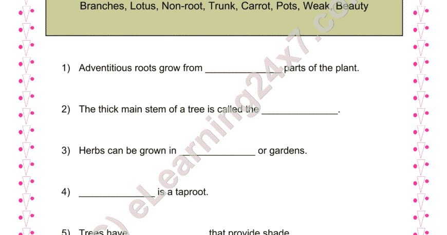 Types of Plants : Fill The Blanks