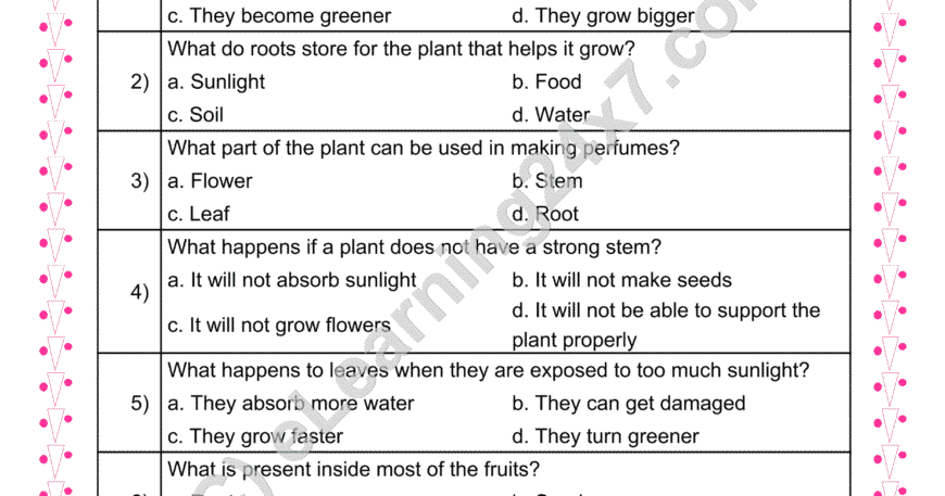 Parts of Plants : MCQs