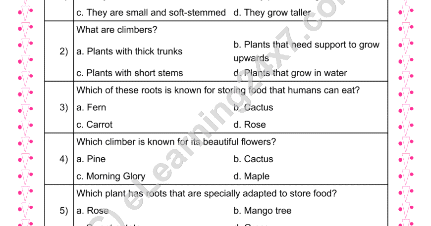 Types of Plants : MCQs