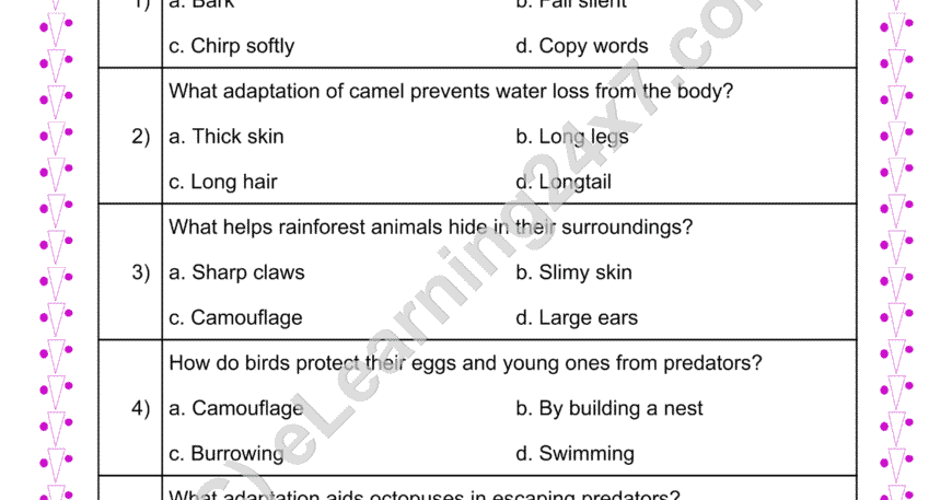 Grade 4, EVS, Animals - Adaptation MCQs, printable PDF, instant download