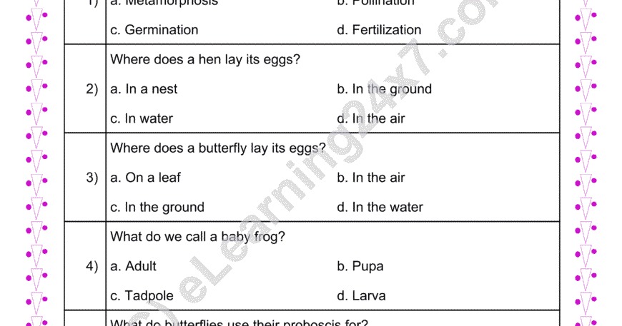 Grade 4, EVS, Animals - Reproduction MCQs, printable PDF, instant download