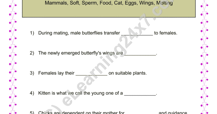 Grade 4, EVS, Animals - Reproduction Fill The Blanks, printable PDF, instant download