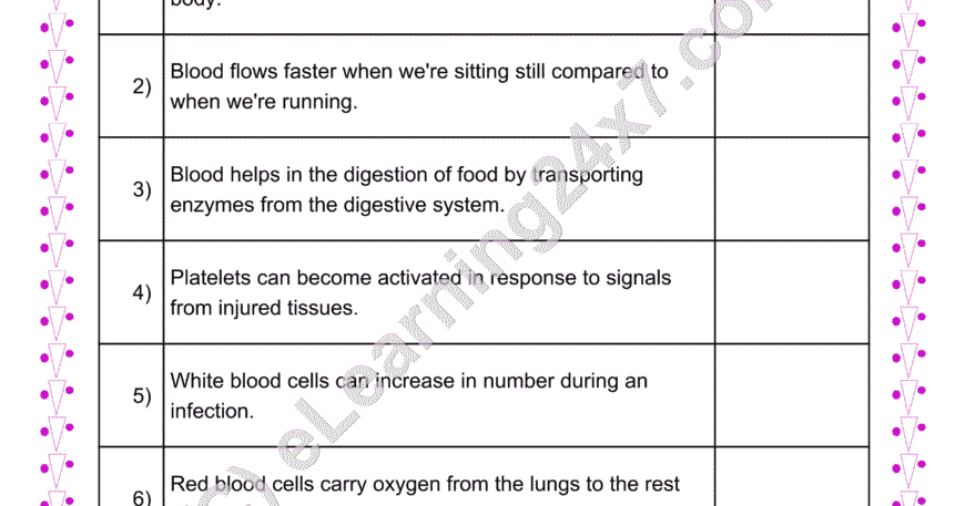 Blood Circulation True Or False