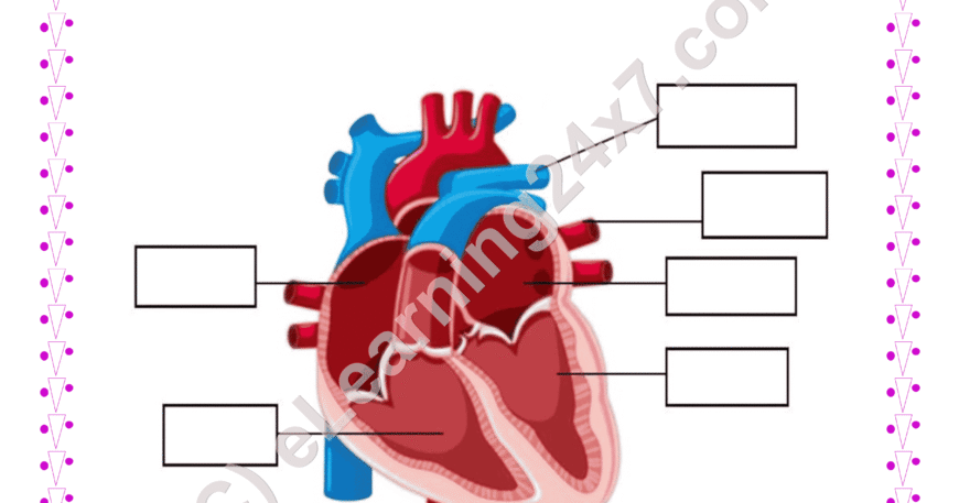 Heart Label