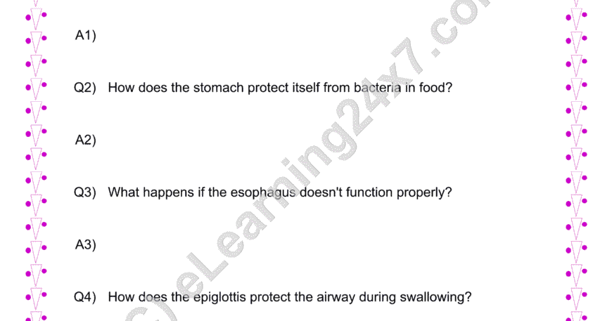 Digestion Ques And Ans