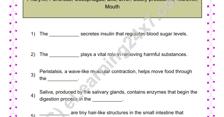Digestive System Fill The Blanks
