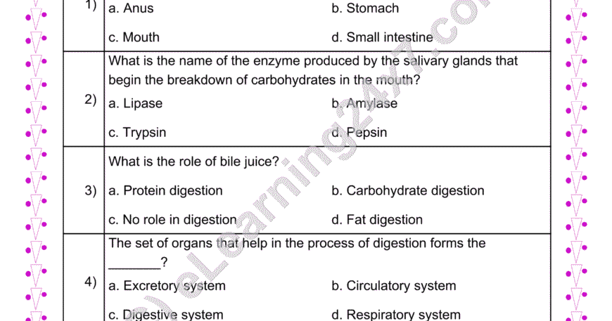 Digestive System MCQ