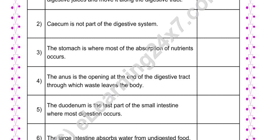 Digestive System True Or False