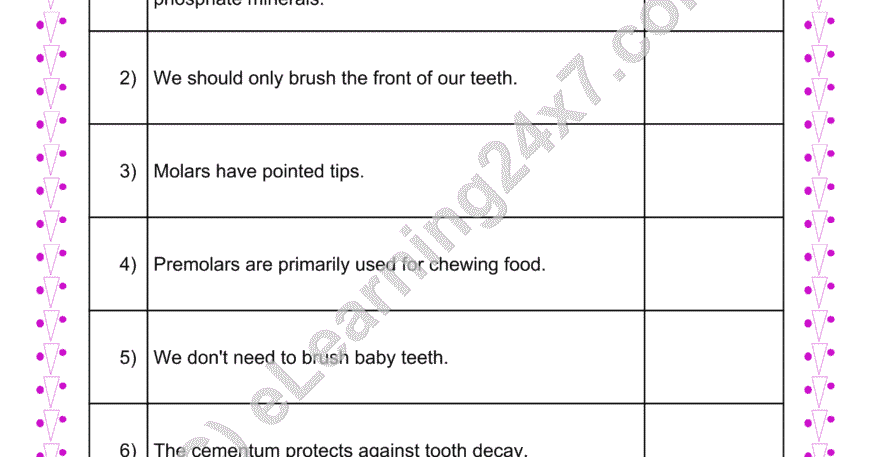 Teeth True Or False