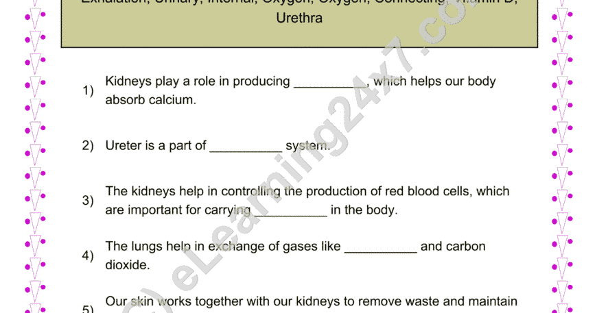 Kidney Fill The Blanks