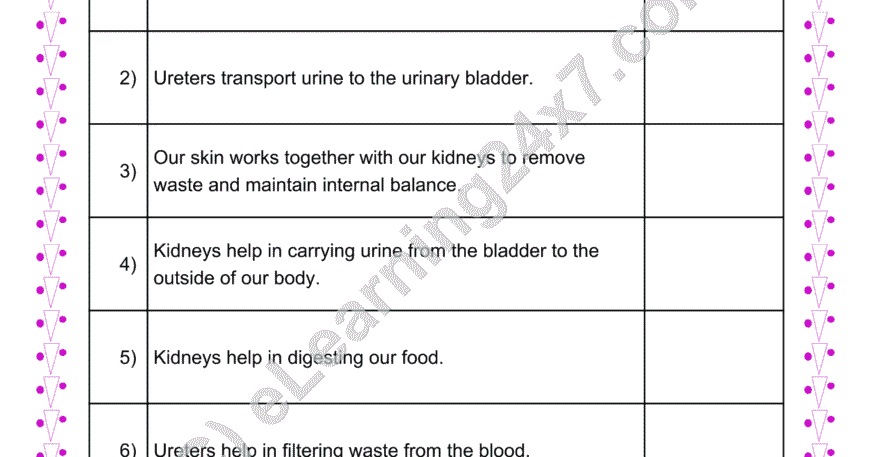 Kidney True Or False