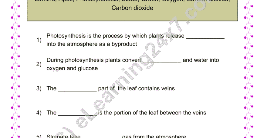 Grade 4, Science, Plants - Parts of Leaf & Photosynthesis Fill Blanks, printable PDF, instant download