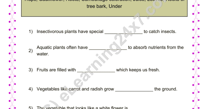 Grade 4, Science, Plants - Adaptation In Plants Fill The Blanks, printable PDF, instant download