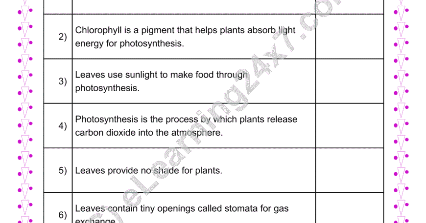 Grade 4, Science, Plants - Parts of Leaf & Photosynthesis True Or False, printable PDF, instant download