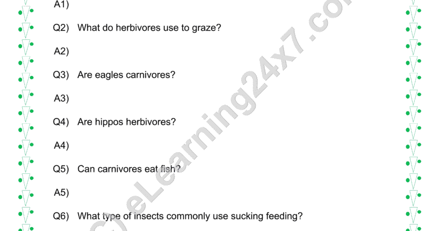 Animals Feeding Habits Q&A