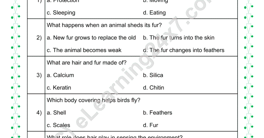 Animals Body Covering MCQs