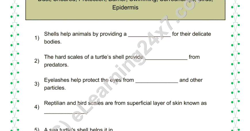 Animals Body Covering Fill The Blanks