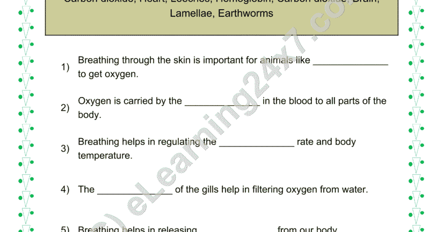 Animals Breathing Organs Fill The Blanks