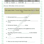 Grade 5, Science, Work Force Energy - & Energy : Fill The Blanks, printable PDF, instant download