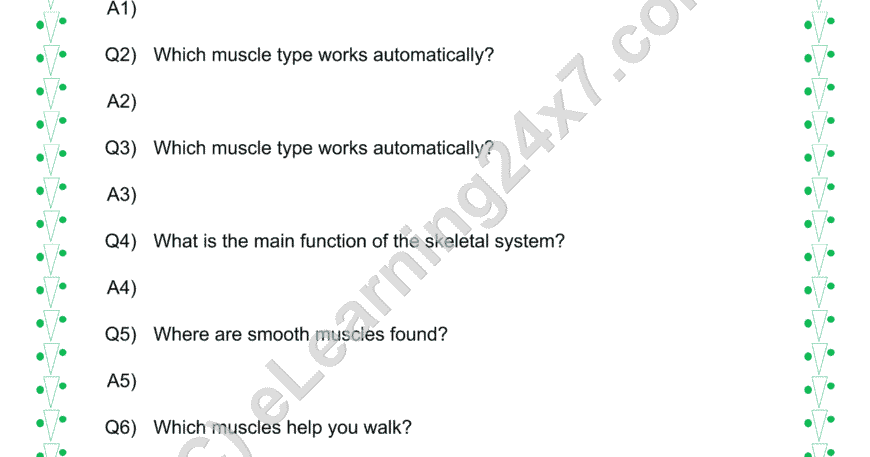 Muscles And Bones Q&A