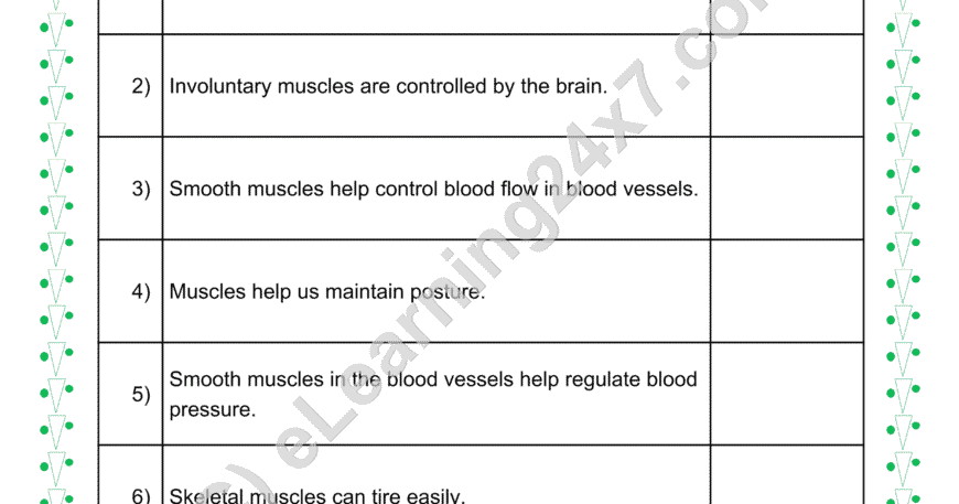 Muscles And Bones True Or False
