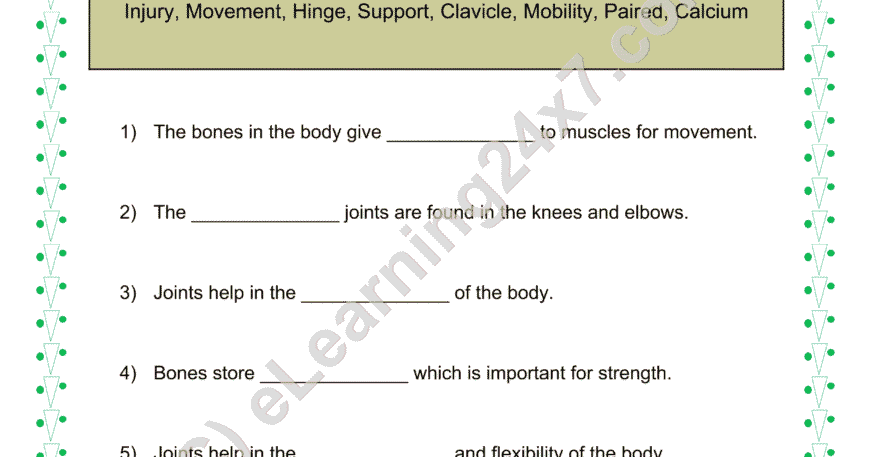 Skeletal System Fill The Blanks