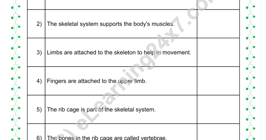 Skeletal System True Or False
