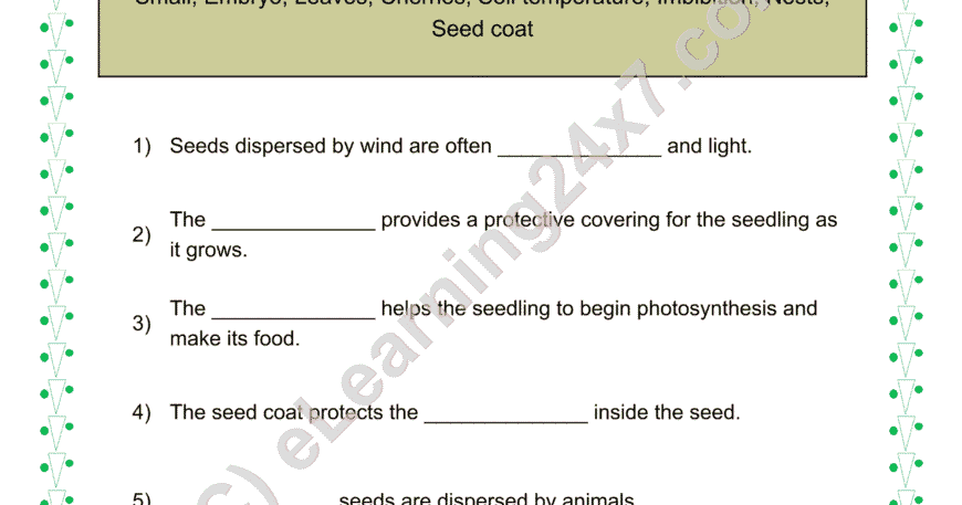 Plants Seeds Fill The Blanks