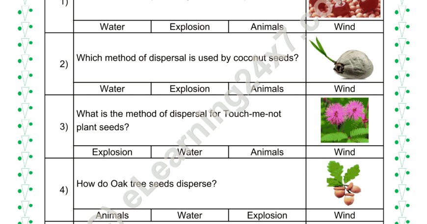 Seed Dispersal In Plants MCQs