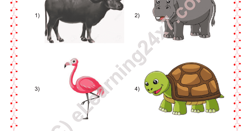 Grade 2, EVS, Animals - Circle Carnivorous Animals, printable PDF, instant download