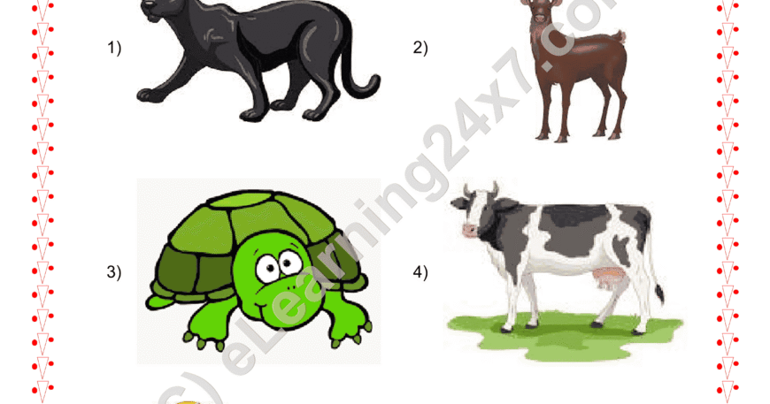 Grade 2, EVS, Animals - Circle Domestic Animals, printable PDF, instant download