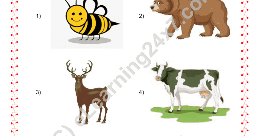 Grade 2, EVS, Animals - Circle Farm Animals, printable PDF, instant download