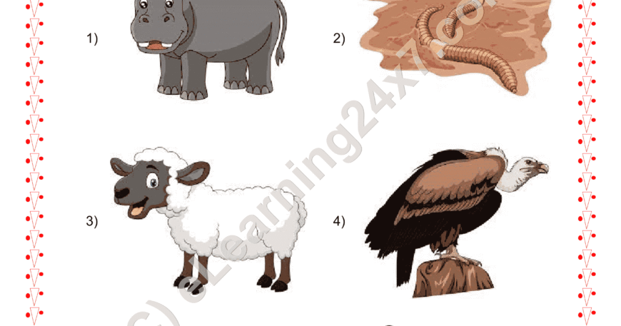 Grade 2, EVS, Animals - Circle Herbivorous Animals, printable PDF, instant download